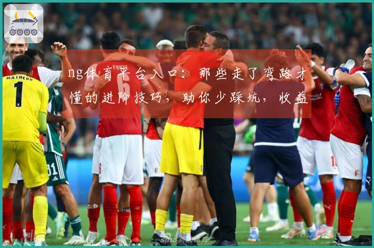 ng体育平台入口：那些走了弯路才懂的进阶技巧，助你少踩坑，收益最大化