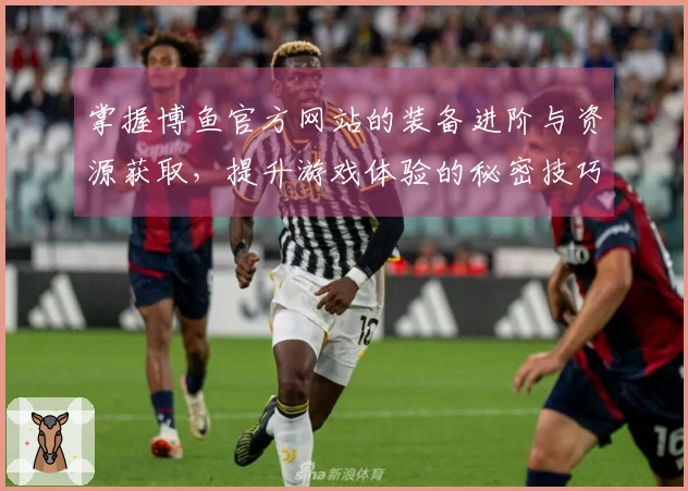 掌握博鱼官方网站的装备进阶与资源获取，提升游戏体验的秘密技巧