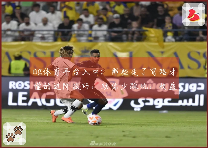 ng体育平台入口：那些走了弯路才懂的进阶技巧，助你少踩坑，收益最大化